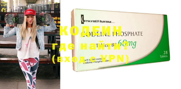 прущие грибы Корсаков