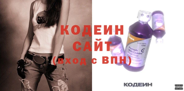 прущие грибы Корсаков