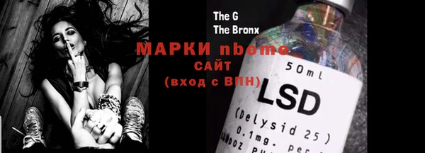 прущие грибы Корсаков