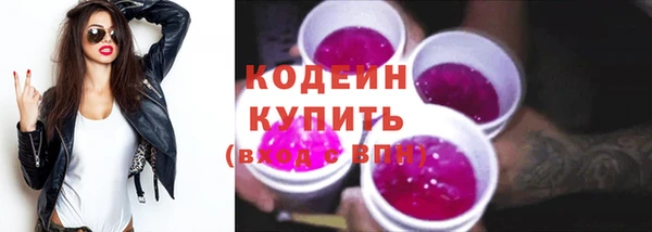 прущие грибы Корсаков