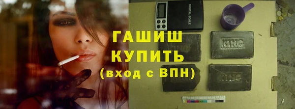 прущие грибы Корсаков