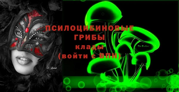 прущие грибы Корсаков