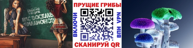 Галлюциногенные грибы GOLDEN TEACHER где продают Называевск